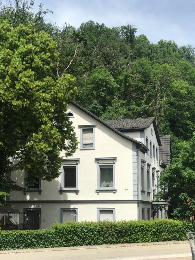 S-Villa Apartments Im Schwarzwald Schiltach Exterior foto